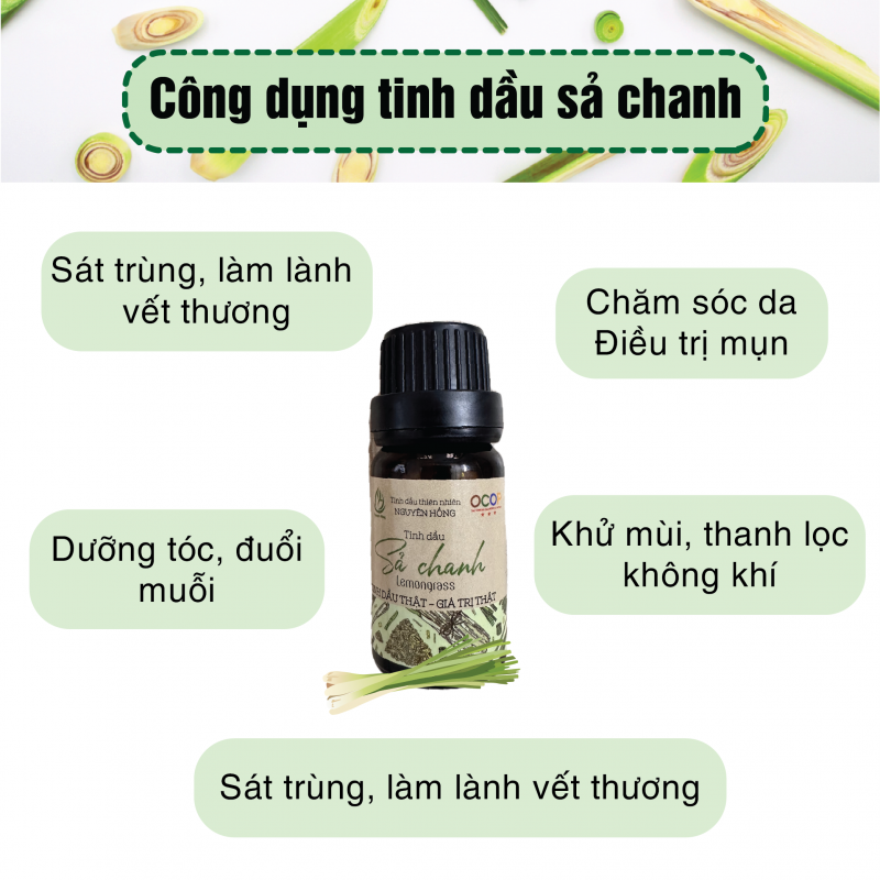 Tinh dầu sả chanh giúp Kháng nấm