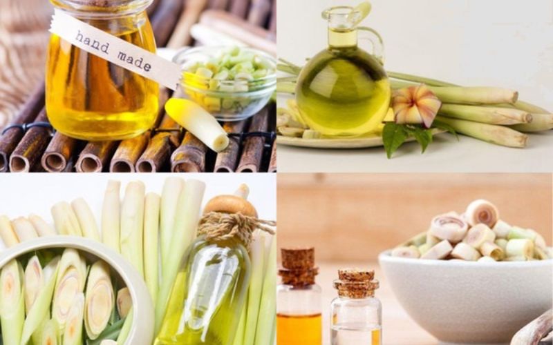 cách làm tinh dầu sả chanh 