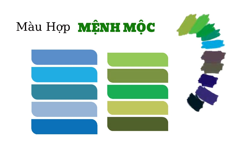 Các màu sắc hỗ trợ tài lộc cho người mệnh Mộc