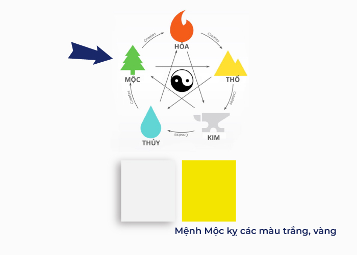 Màu sắc kỵ với người mệnh Mộc