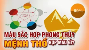Mệnh Thổ hợp màu gì