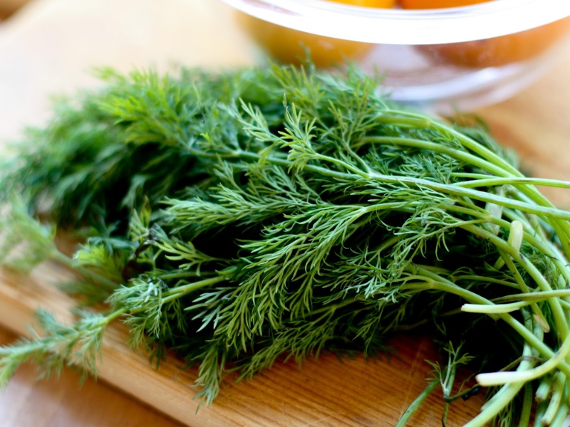 Lá thì là tốt cho mẹ sau sinh 