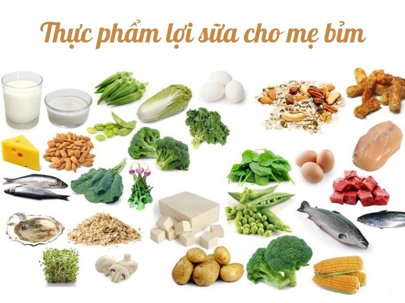 thực phẩm cực lợi sữa